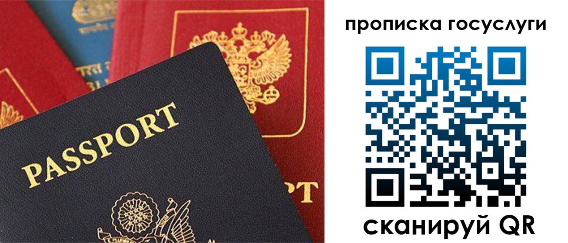 где прописаться в Сураже